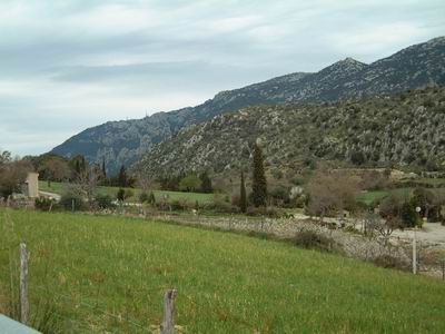 DSCF0041.JPG